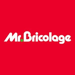 Franchise Mr. Bricolage