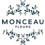 Franchise MONCEAU FLEURS